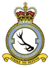 83 Squadron